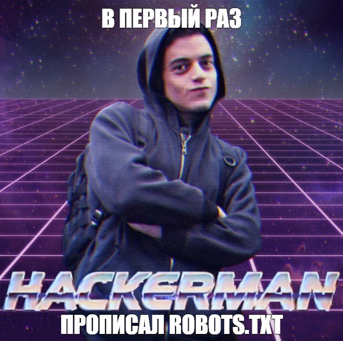 мем robots